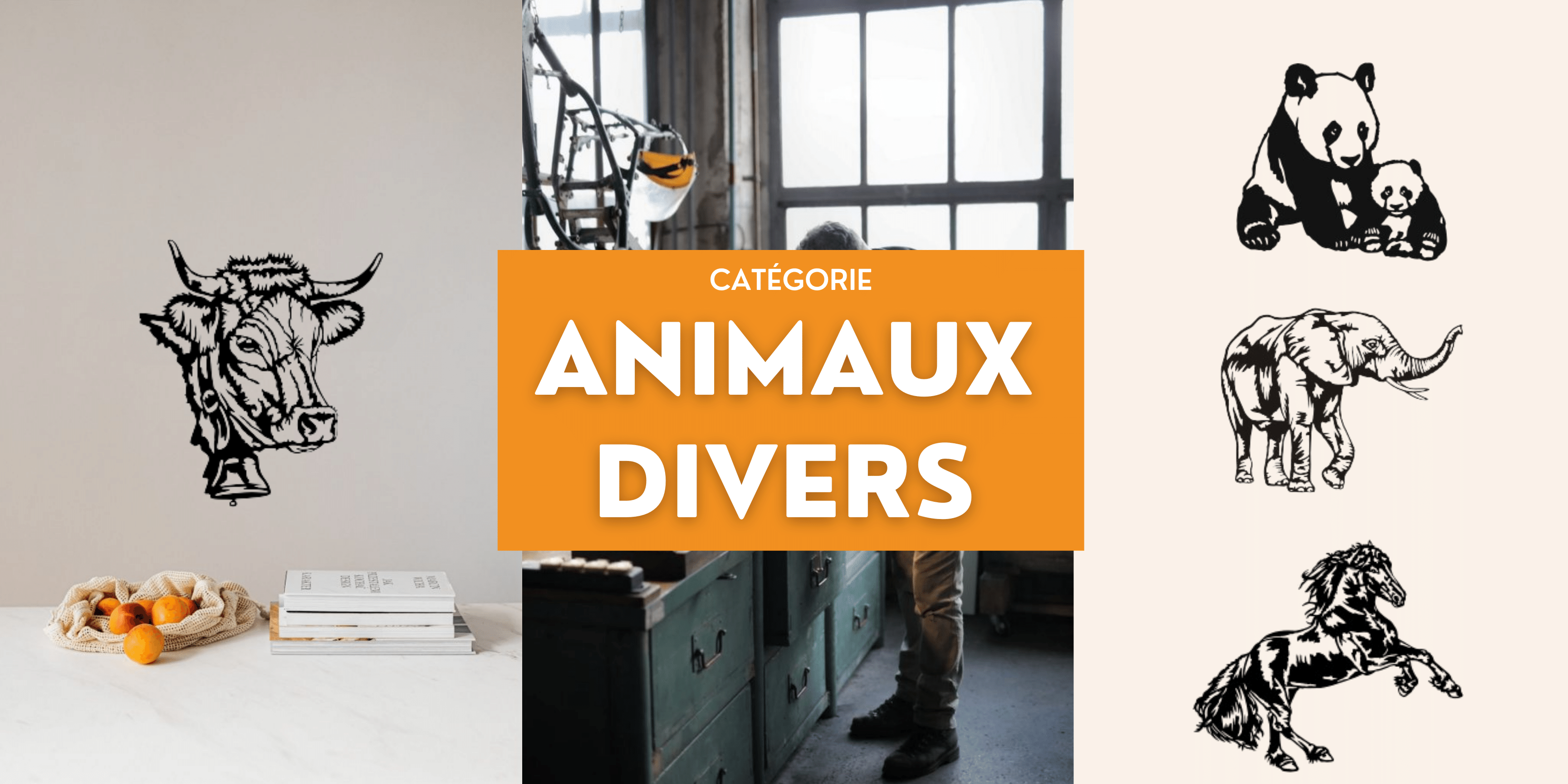 Animaux divers