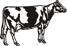 Visualisation de votre décoration murale en métal Vache Prim'Holstein