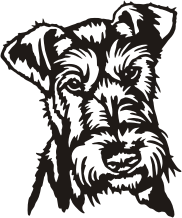 Visualisation de votre décoration murale en métal Irish Terrier