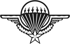 Visualisation de votre décoration murale en métal Insigne parachutiste